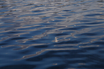 Wellenspiel auf der Peene