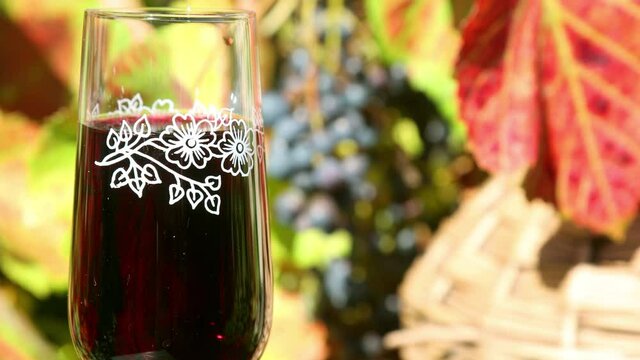 The gradually focus from the vineyard with grapes on a glass with red wine.