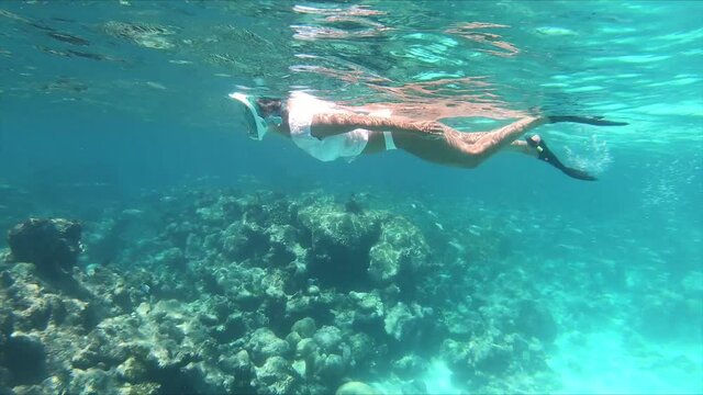 Beautiful girl snorkeling with full face mask in clear ocean by the school of fish