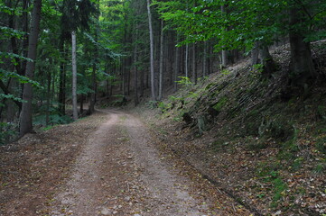 Góry Wałbrzyskie, Poland