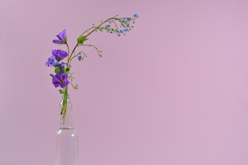 pink flower in a glass vase with pink background