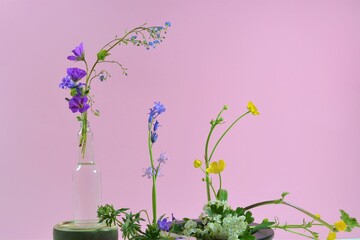 flowers in the vase in different nature plant wild flower with pink background