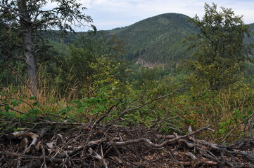 Góry Wałbrzyskie, Poland