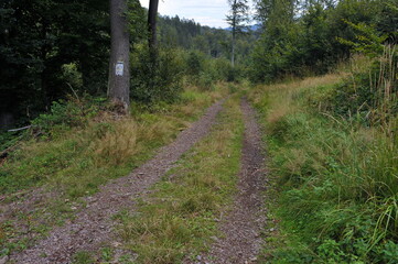 Góry Wałbrzyskie, Poland