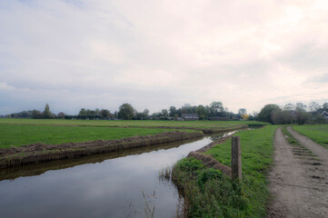 A ditch near Vreeland, The Netherlands