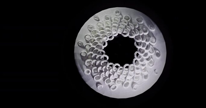 Geometric disc shape optical illusion | Fibonacci sequence | the golden ratio angle in nature | zoetrobe spinning against black background | 4 shots
