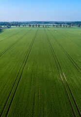 symetric field, graphic