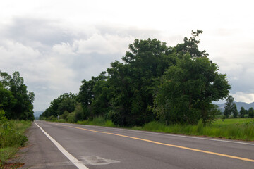 Fototapeta premium A country road with a gray sky in a corn field