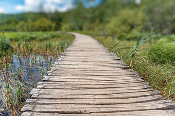 A path made of wooden boards among the lake and forest.