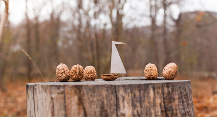 Small homemade boat made of nutshell with walnuts.
Kleines selbst gemachtes Boot aus Nussschale mit...