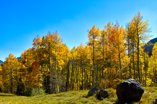 Fall Colors in Colorado