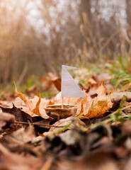 Small boat made from nutshell in autumn leaves.
Kleines Boot aus Nussschale im Herbstlaub.