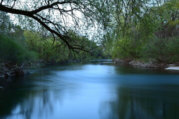 Donau mit natürlichem Ufer und Bäumen