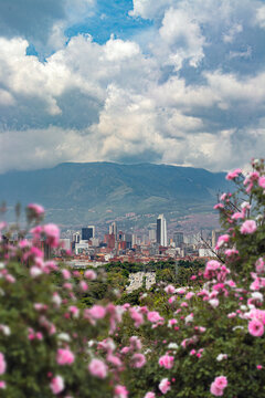 Panoramic of Medellin City with the Coltejer building and downtown at the background