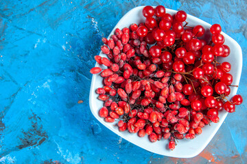 top view currants and barberries in white plate on blue background with copy