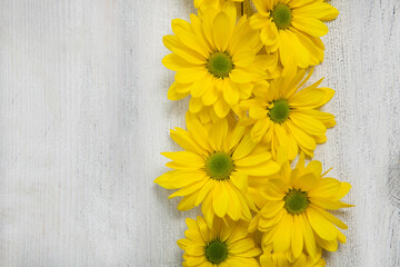 Beautiful Greeting cards for the holiday March 8th, Mothers Day, Birthday. Background with Yellow flowers. 