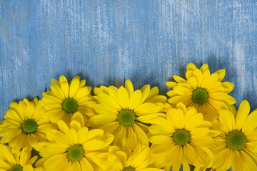 Beautiful Greeting cards for the holiday March 8th, Mothers Day, Birthday. Background with Yellow flowers. 