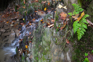 Fließendes Wasser in einem felsigen Bachbett