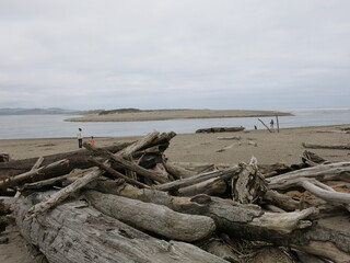 Driftwood along the bay at Taft on the Oregon coast