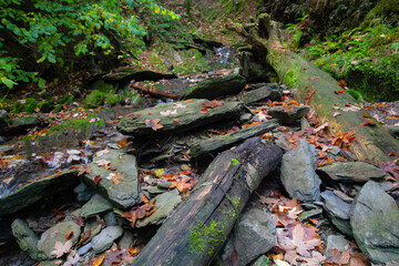 Felsiges Bachbett im Helletal bei Winterberg