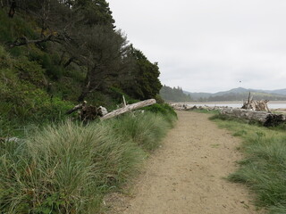 Trail on Siletz Bay at Taft on the Oregon coast