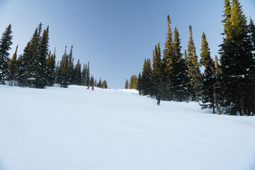 Skiers and snowboarders ride on a ski slope of a ski resort on a picturesque background of a snowy winter mountain