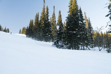 snowmobile down a snow slope, scenic weight, evergreen trees