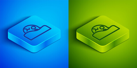 Isometric line Human skull in the ground icon isolated on blue and green background. Square button. Vector.