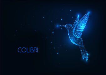 Futuristic glowing low polygonal flying colibri bird on dark blue background © Inna