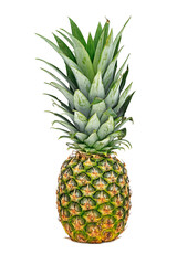 Obraz premium Ananas