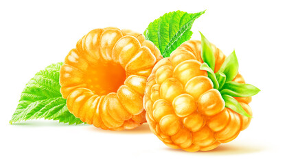 Two yellow raspberries isolated on white background with clipping path