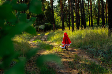 forest, autumn, hiking, little red riding hood, path, grass, greenery, wallpaper