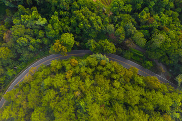 Drone top view of car pass-through the jungle curve road in Chiang Mai, Thailand