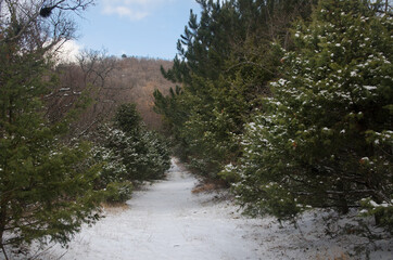 View of the Crimean mountains near Simeiz