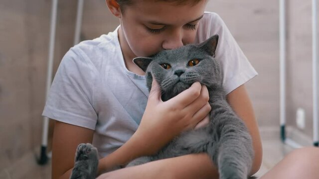 Smile Boy Sit On Floor, Hugs Gray British Cat, Plays. Love to Pet Animals