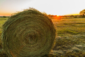 Hay Bales in The Field at Sunset, Washington County, Texas, USA