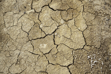 Dry and cracked earth