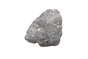 specimen of gray limestone rock isolated on a white background.