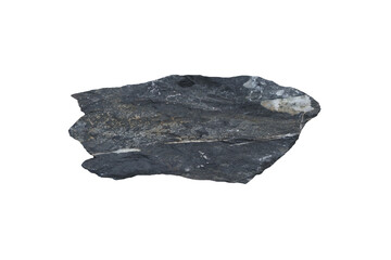 A piece raw specimen of black shale rock isolated on a white background.