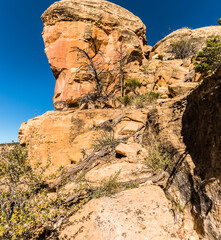 Stone Steps on The Petroglyph Point Trail, Mesa Verde National Park, Colorado, USA