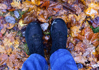 Men's feet in hiking shoes on a background of wet autumn leaves in forest. Rain footwear for man or woman. Trekker boots for for cold and weather hike . Pair of waterproof travel shoe in blue jeans