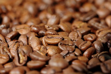 coffee beans background