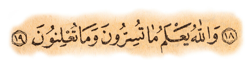 Isolated Ayah from an old Quran. Translation: And Allah knows whatever you keep secret and whatever you make public. (An-Nahl: 19)