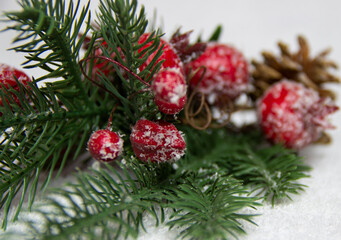 christmas tree branch and red pomegranate on a white background