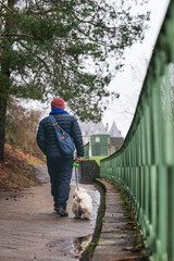 A man in a down jacket and his dog walk along a path with a green railing towards a castle.