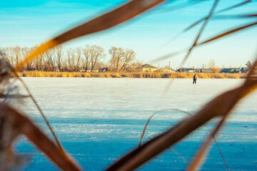 lake, ice, ice rink, skater, reed, winter, snow, dawn, cold, leisure, hobby, recreation