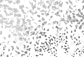 Light Silver, Gray vector backdrop with abstract shapes.
