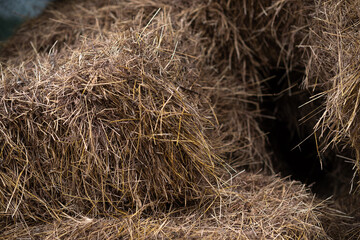 Haystack in autumn, hay storage in village, close up