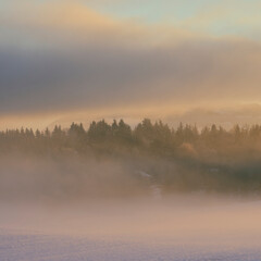 Obraz na płótnie Canvas misty evening at the countryside