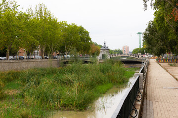 High grass covering Manzanares river in Madrid city on cloudy day. Environmental problem concept in Spain capital